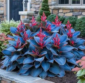 Хоста Грин Фог купить по цене от 669р. в интернет-магазине «Посадика» с доставкой почтой в в Губкинскийе и по всей России – [изображение №1].