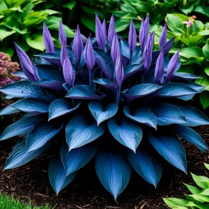 Хоста Сикрет Гров купить по цене от 570р. в интернет-магазине «Посадика» с доставкой почтой в в Губкинскийе и по всей России – [изображение №1].