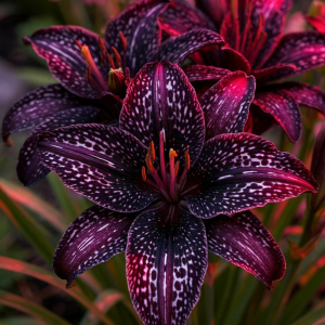 Лилейник Вояж купить по цене от 699р. в интернет-магазине «Посадика» с доставкой почтой в в Губкинскийе и по всей России – [изображение №1].